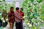 Dinilai Konsisten Jaga Lingkungan, Karangrejo Dicalonkan Jadi Desa ProKlim Lestari